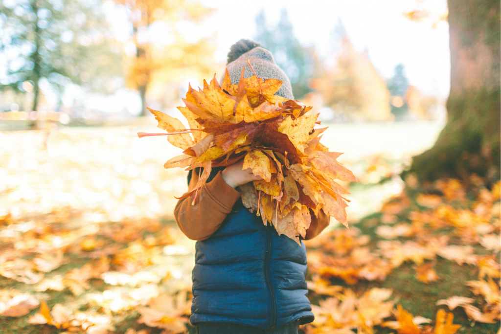 fall and child