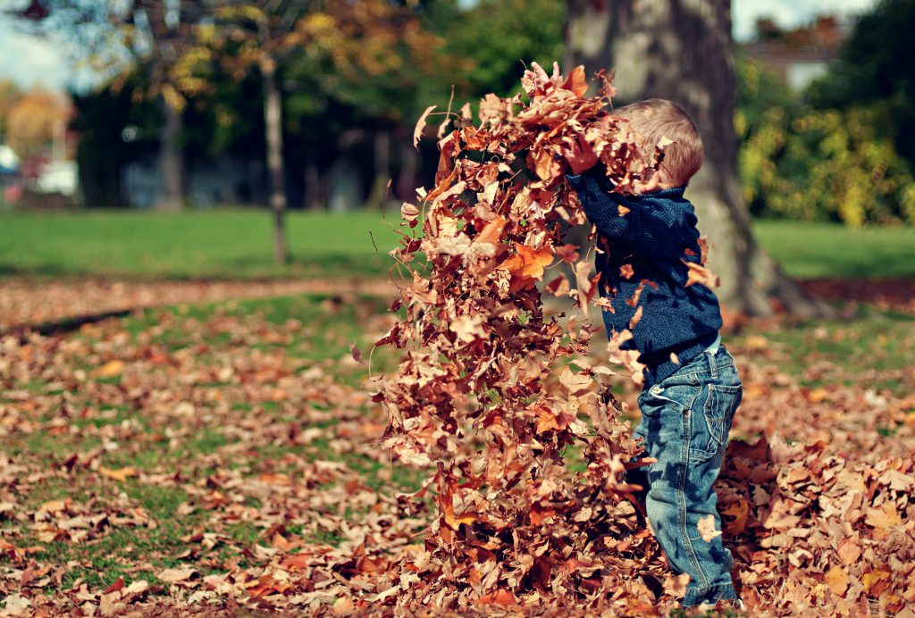 kid playing in fall