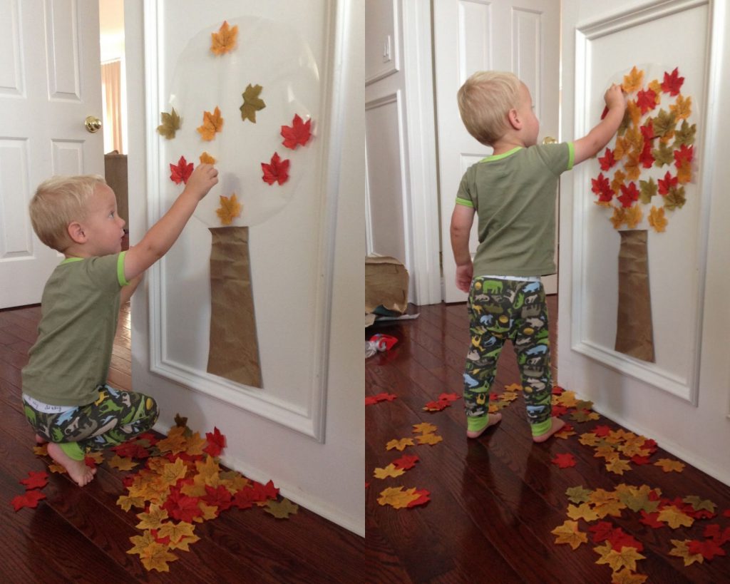 20 activités avec des feuilles d'arbre pour les enfants