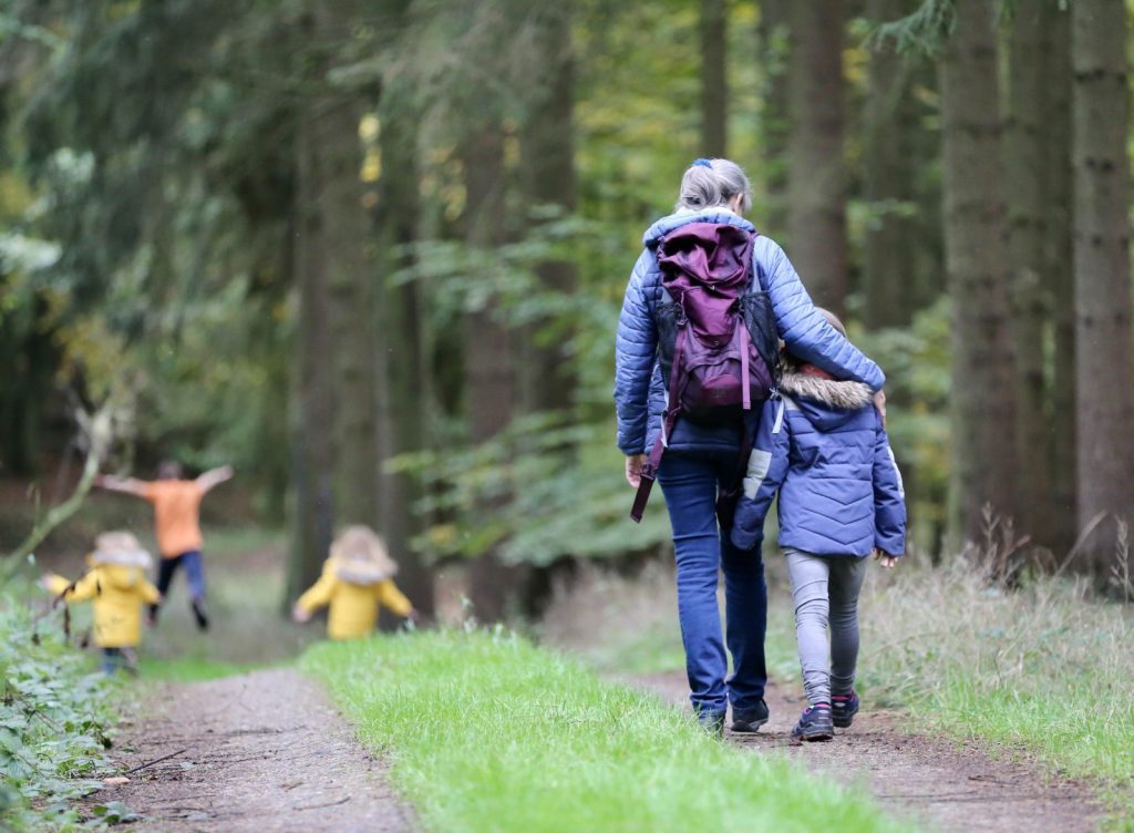 waldspaziergang mit der familie