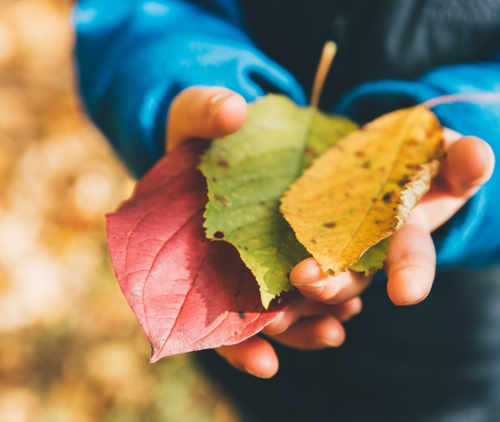 Family autumnal walk