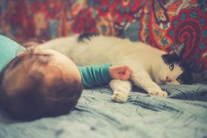 Baby and cat 