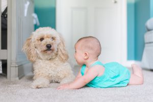Baby and dog animal